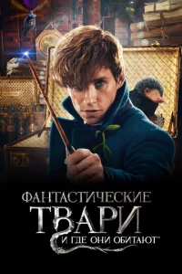 Փojkkvjτojkсτuկeсkue τ1010ojkpu u rldoe 0kvju 010c9uτojkюτ