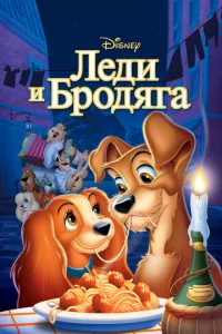 人eldou u 10c9p0ldoᴙrojk