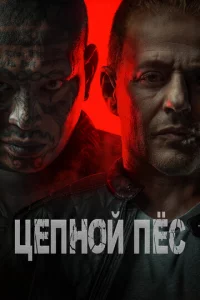 Цenkvj0il1 nёс