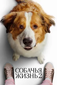 C010c9ojkկbᴙ жuʒkvjb 2