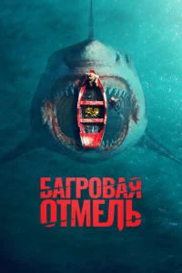 ƃojkrp01010ojkᴙ 0τʍevnlb