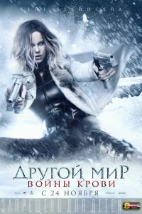 ldpyr0il1 ʍup: B0il1kvjӹ kp01010u