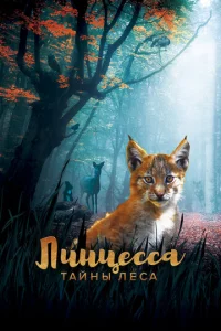 l1lukvjttseсса. Tаil1kvjӹ vnleса