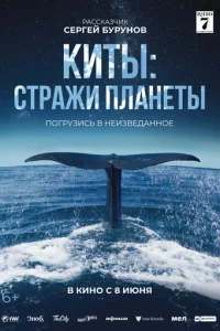 Kuτӹ: Cτpажu nvnlаkvjeτӹ