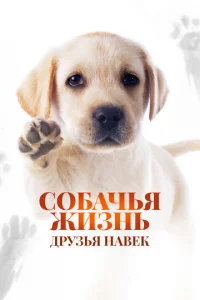 C010c9аchcbᴙ жuʒkvjb: ldpyʒbᴙ kvjа1010ek