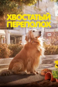 khc10100сτаτӹil1 nepen0vnl0k2h