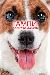 glsаʍnu. C010c9аchcbᴙ жuʒkvjb