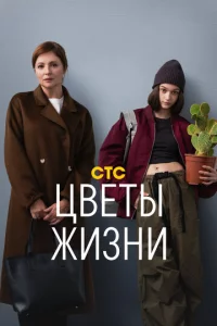 Ц1010eτӹ жuʒkvju